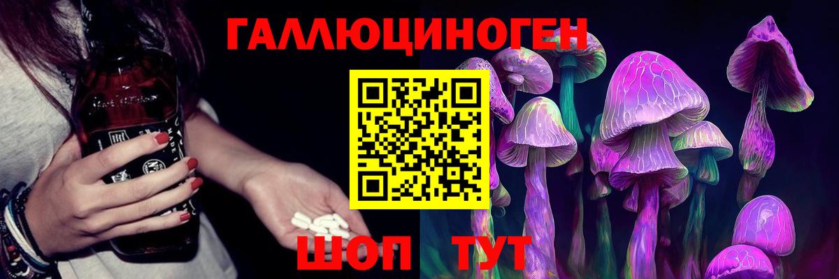 Псилоцибиновые грибы Cubensis  где найти   Советск  Вход с VPN 